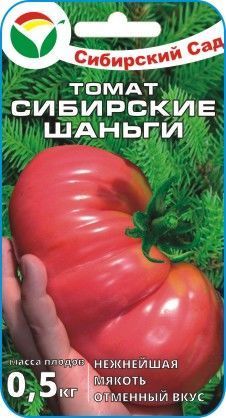 Томат Сибирские шаньги 00179