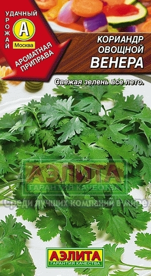 Кориандр овощной Венера 01953