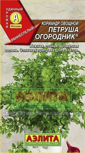 Кориандр овощной Петруша огородник 01247
