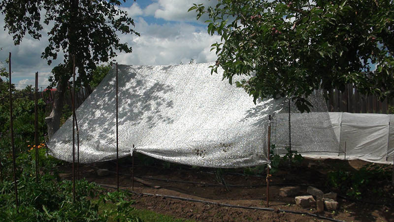 Сетка затеняющая Алюминет (Aluminet) О - 50%