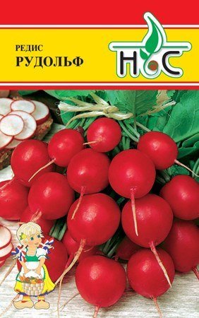 Редис Рудольф F1 01151
