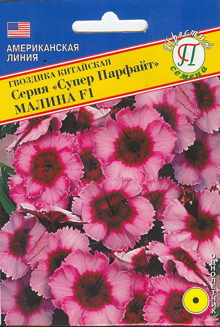 Гвоздика китайская "Суперпарфайт" Малина F1 02163