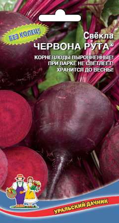 Свекла Червона рута F1 02248