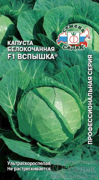 Капуста белокочанная Вспышка F1 02498