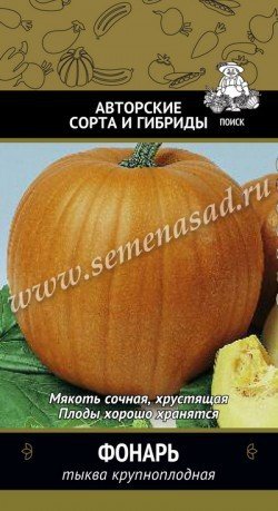 Тыква Фонарь 02529