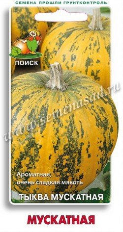 Тыква Мускатная 02532
