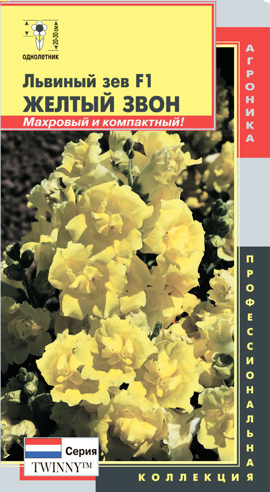 Львиный зев F1 Желтый звон 02621