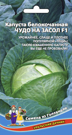 Капуста белокочанная Чудо на засол F1 00328