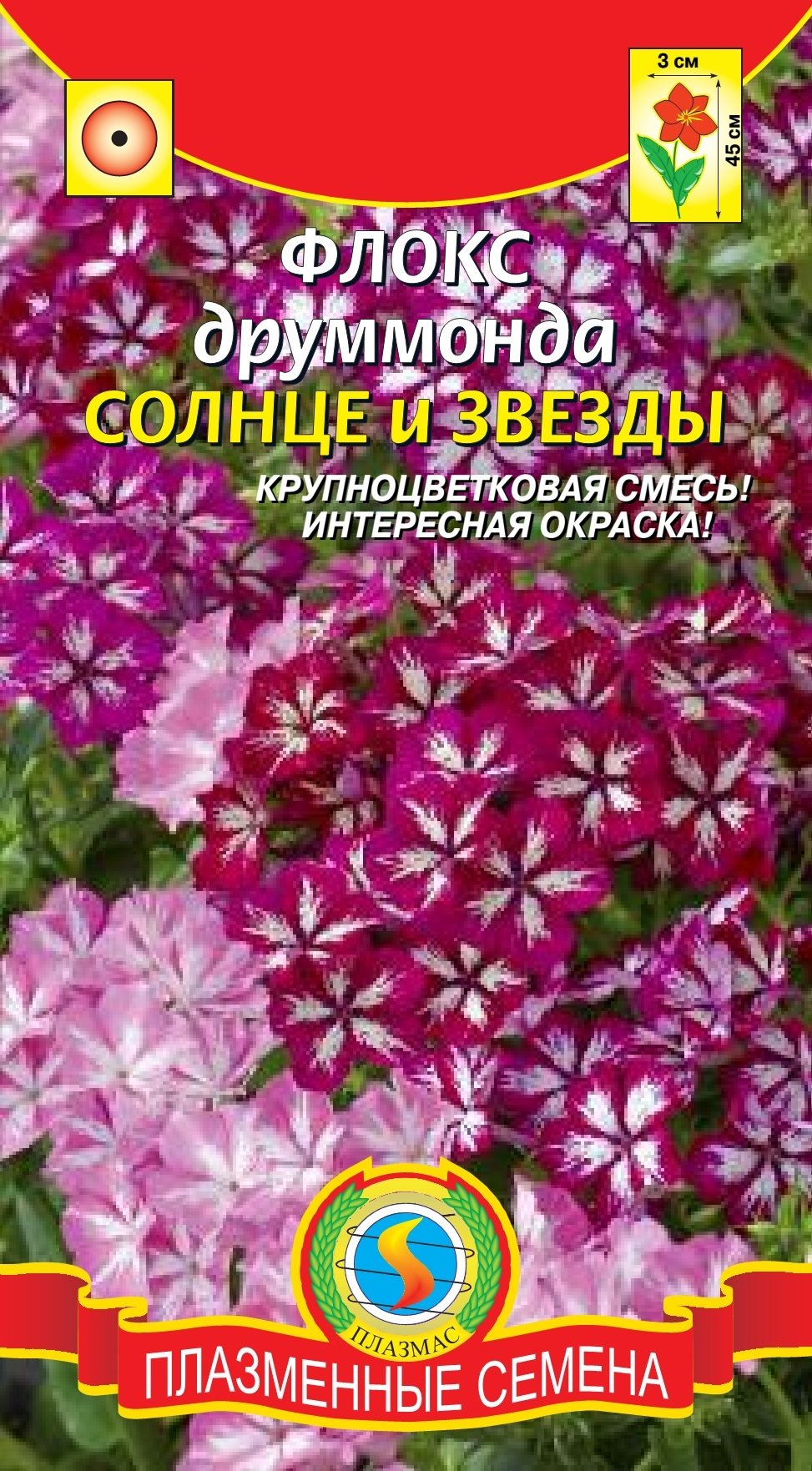 Флокс друммонда Солнце и звезды 03261