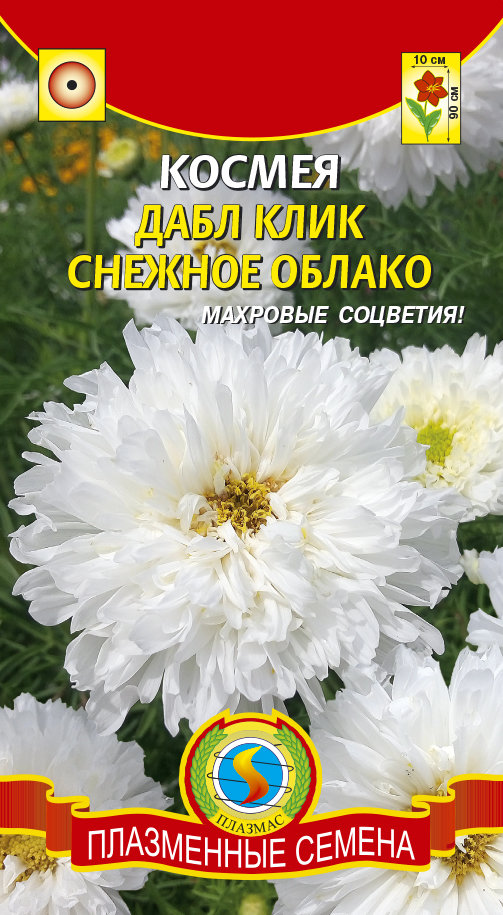 Космея Дабл клик Снежное облако 02829