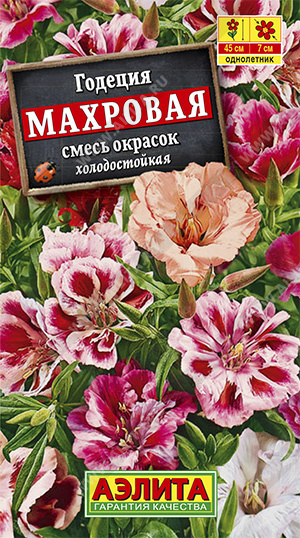 Годеция махровая Смесь окрасок 03634
