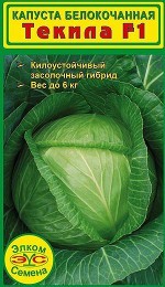 Капуста белокочанная Текила F1 03707