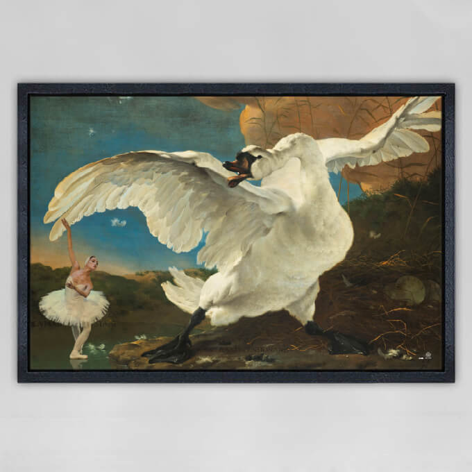 SALE Swan Lake | 1.20 x 0.80 m Dibond in zwarte lijst van € 565,00 voor € 300,00