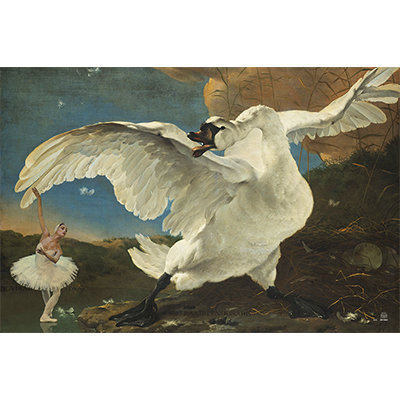 SALE Swan | 1.20 x 0.80 m Dibond in zwarte lijst van € 565,00 voor € 300,00 Swan Lake medium on sale