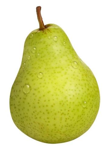 Wholesale Pear Trees b007
