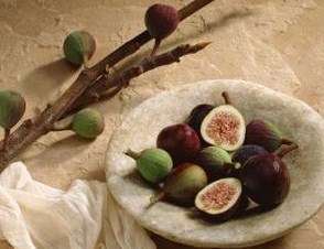 Wholesale Fig Trees b008