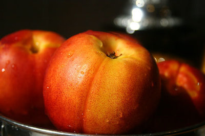 Wholesale Nectarine Trees 00334