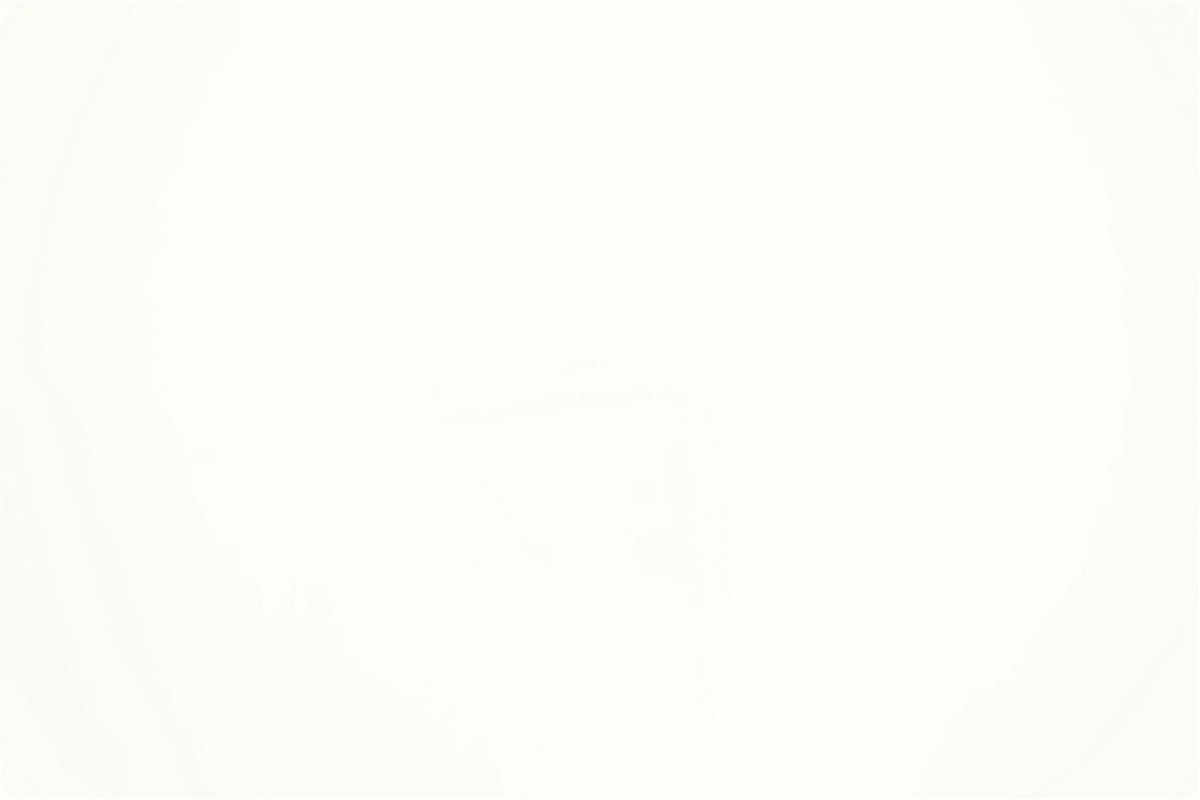 White - Wall Color
