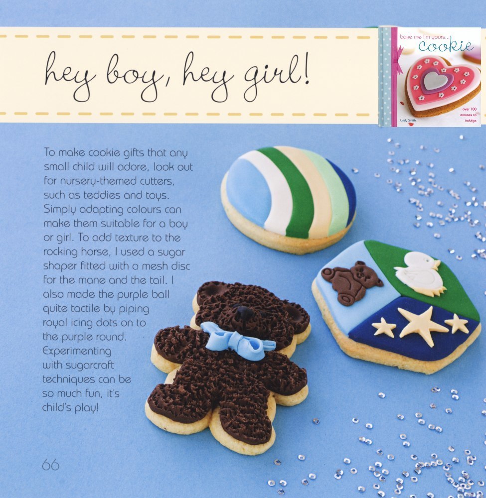 Soft block cookie example from Lindy Smith's 'bake me I'm yours.... cookie' book
