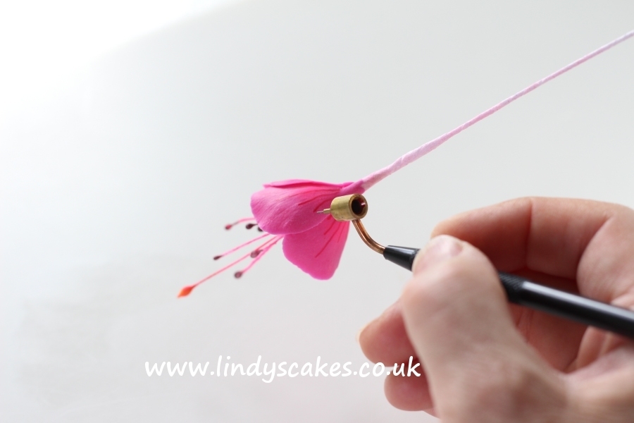 Fuchsia petal markings being added with a fluid writer