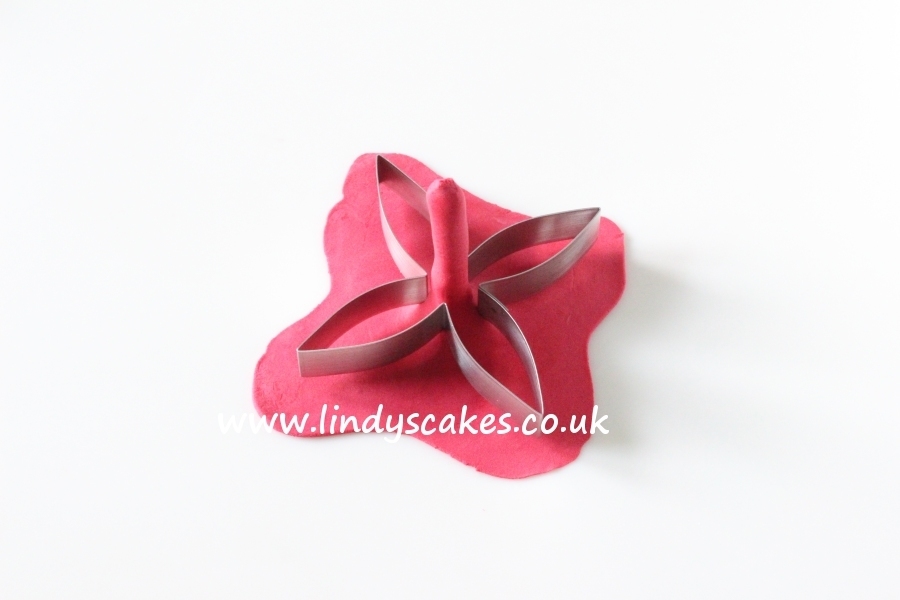 Fuchsia flower sepals being cut out