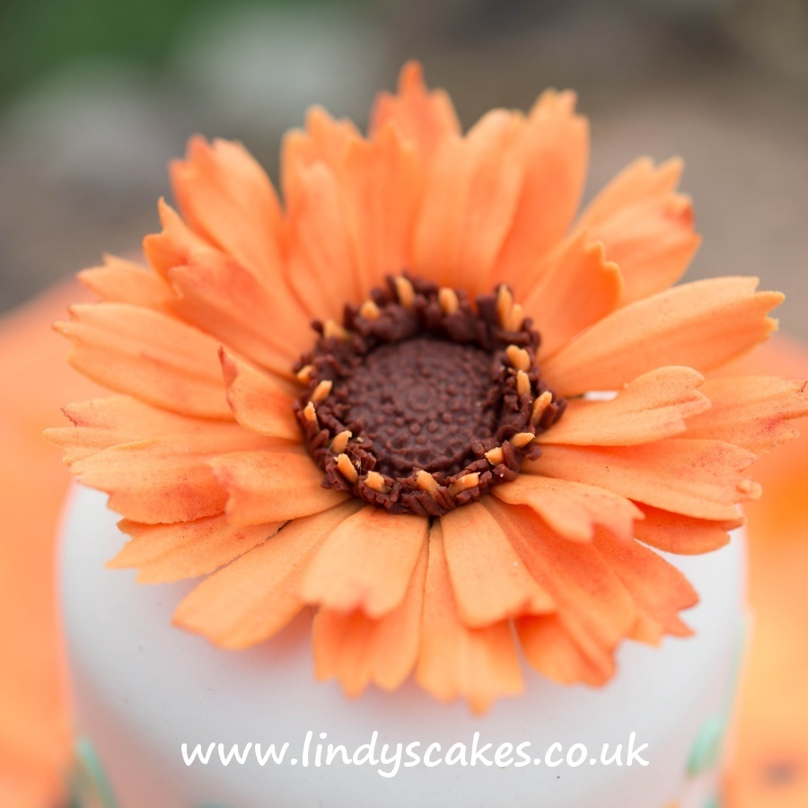 calendula or marigold flower created by Lindy using the Lindy's Cakes calendula cutters