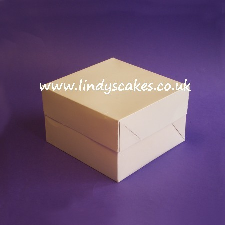 Cake Box 23.5cm x 23.5cm x 15cm (9in x 9in x 6in) SKU1755971