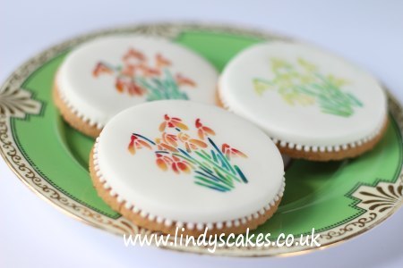 Snowdrop cookies - who said snowdrops have to be white?