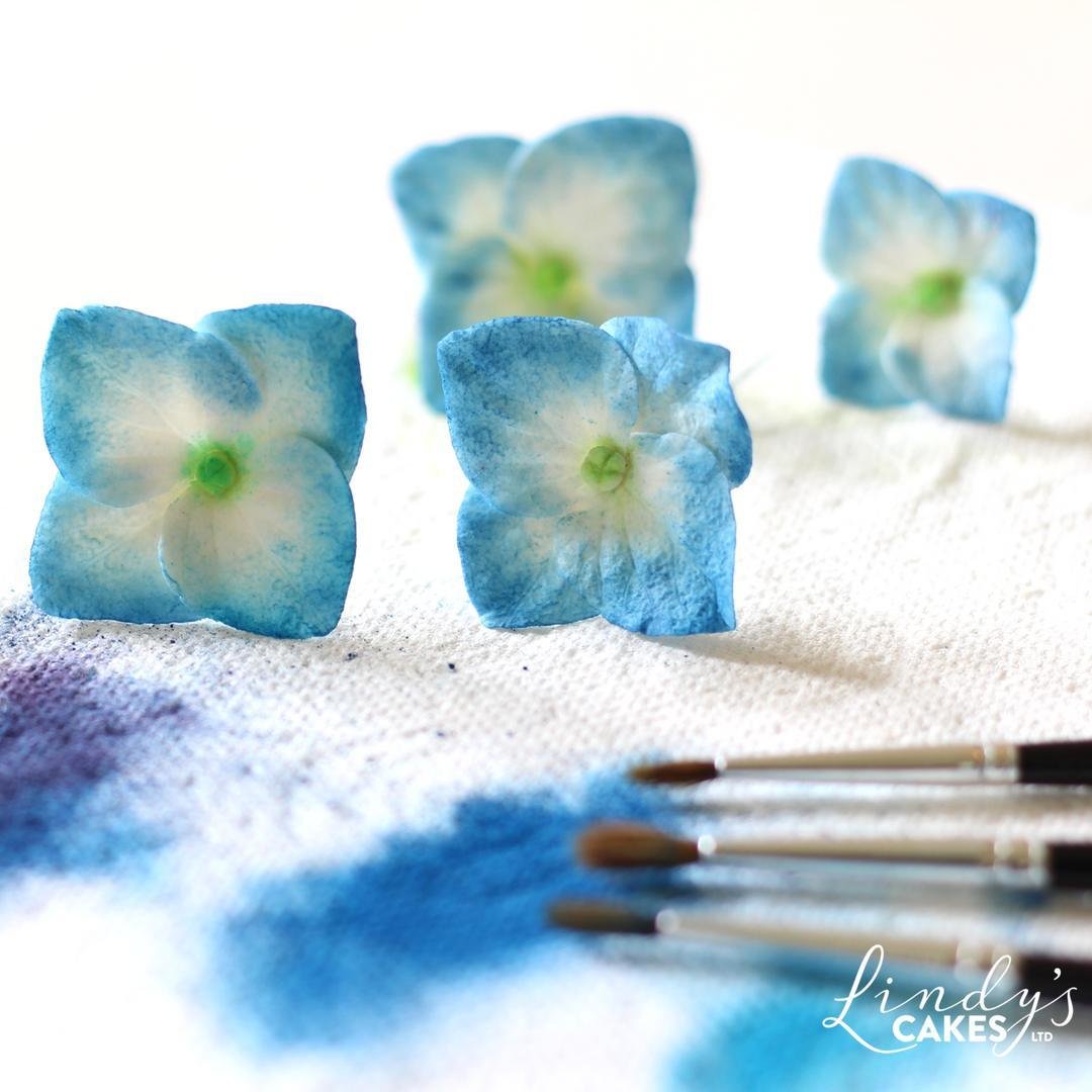 Hydrangea Petal Sugarcraft Cutters - set of 4 (Lindy's)