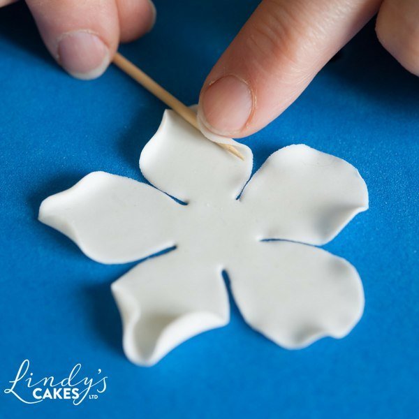 How to make sugar roses class with Lindy Smith Ludlow, SHROPSHIRE