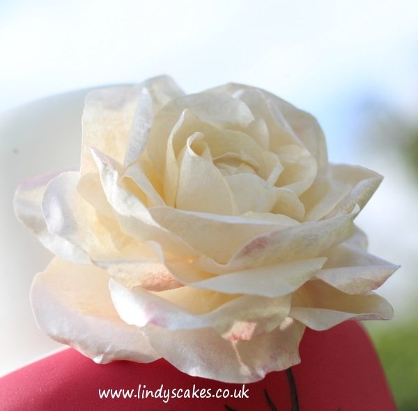How to make sugar roses class with Lindy Smith Ludlow, SHROPSHIRE