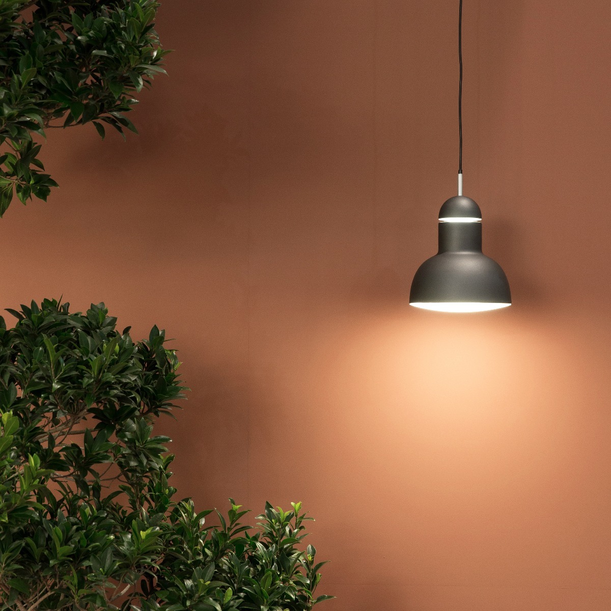Type 75™ Maxi Design Pendelleuchte von Anglepoise