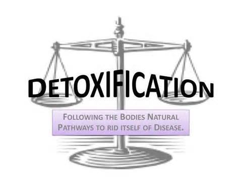 6 Day Detox Kit 00082