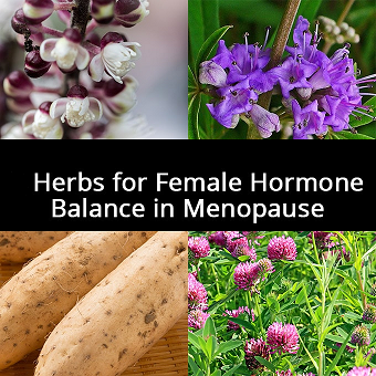 Menopause Support 00028