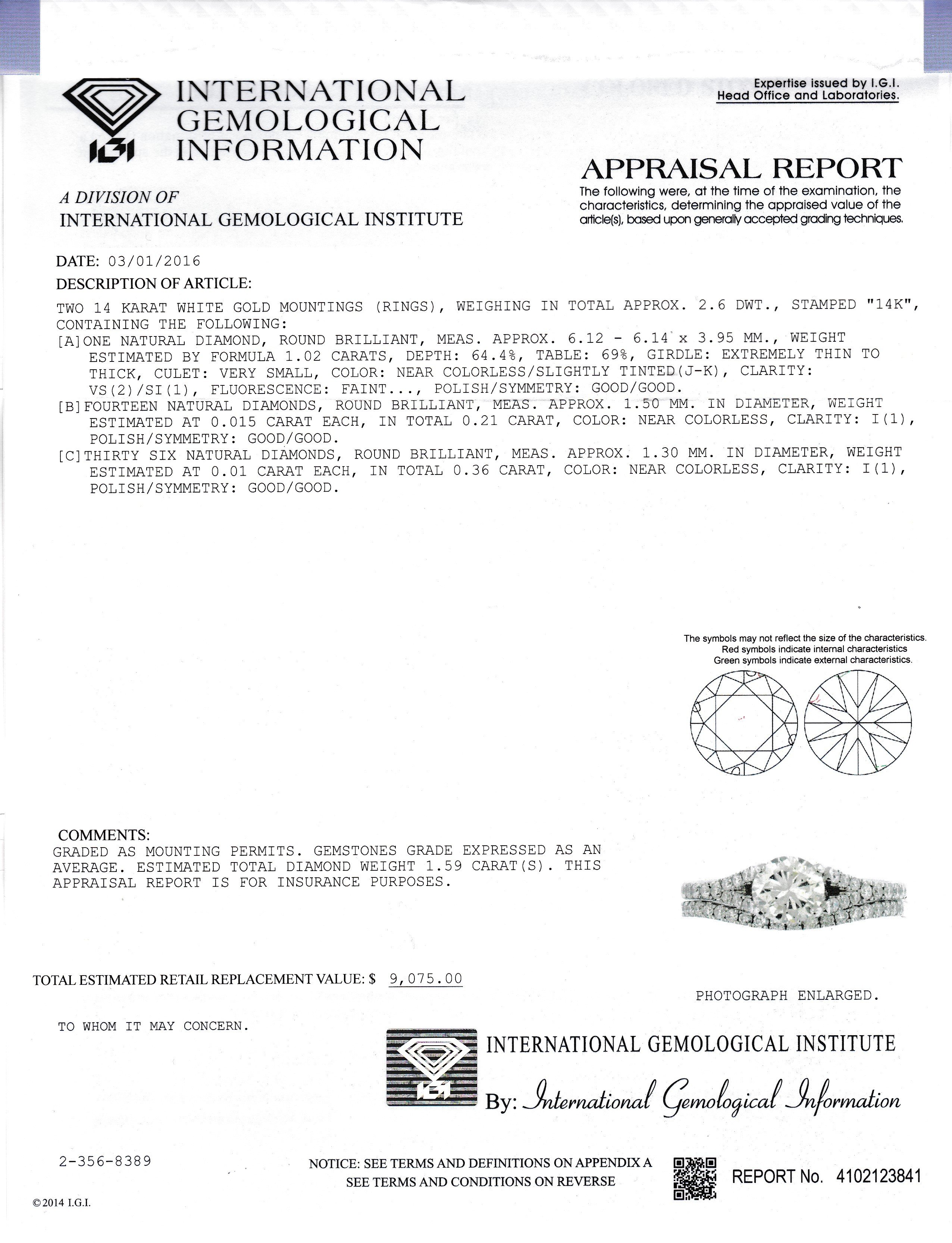 IGI report