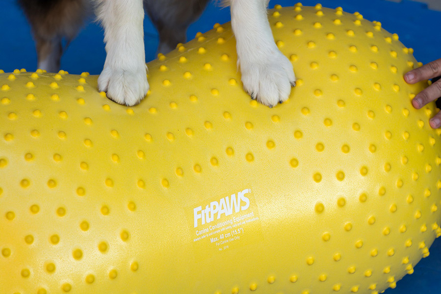 Peanut Balansbal Trax