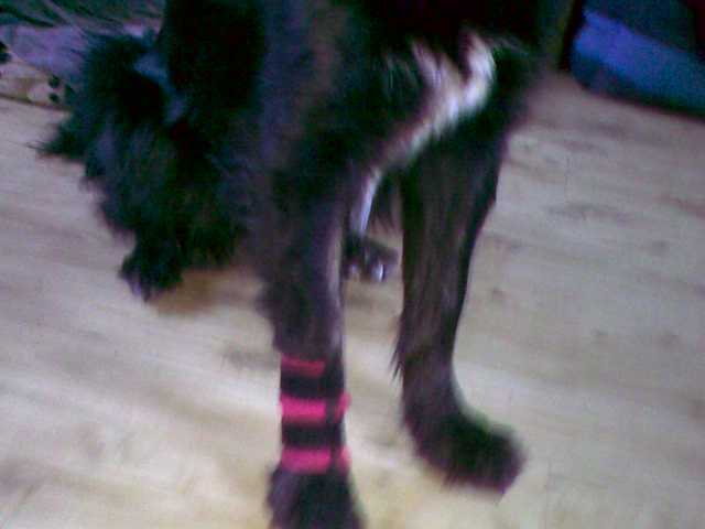 Dubbele Fleece Pootbeschermer