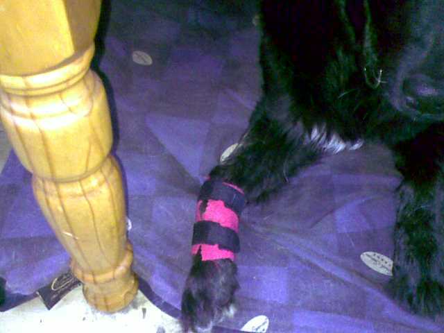Fleece Pootbeschermer