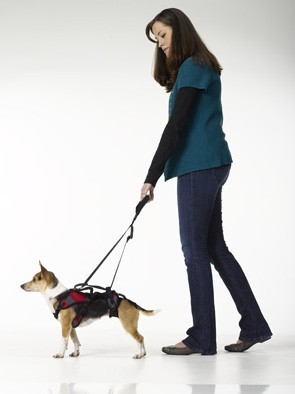Walking Handle voor en achter vast