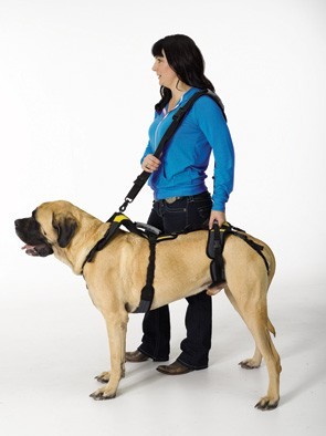 Walking Leash als schouderband