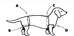 A = Tailleomvang