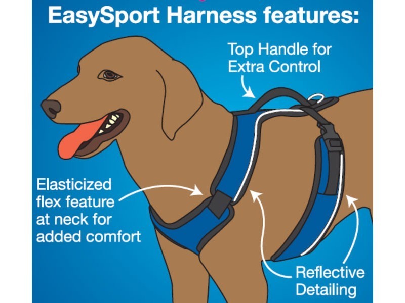 EasySport Tuig