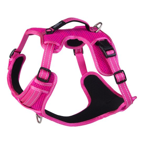 Rogz Explore Harness