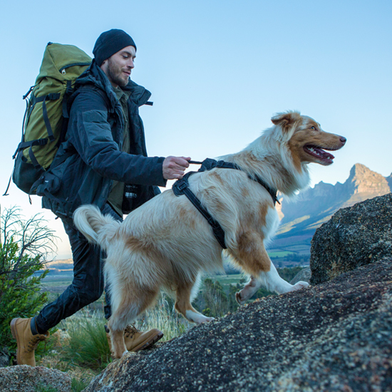 Rogz Explore Harness