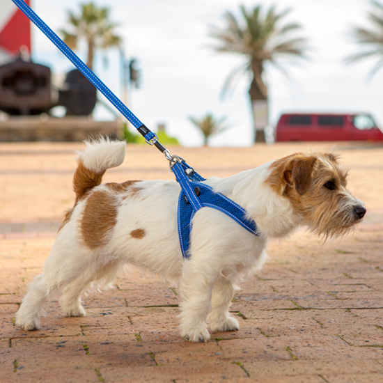 Rogz Fast Fit Harness