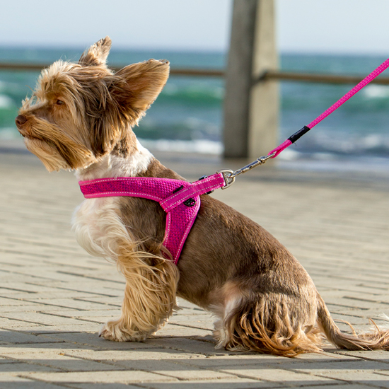 Rogz Fast Fit Harness
