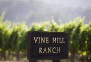 2015 Vine Hill Ranch (VHR) Cabernet MK6MGMEENJ5B0