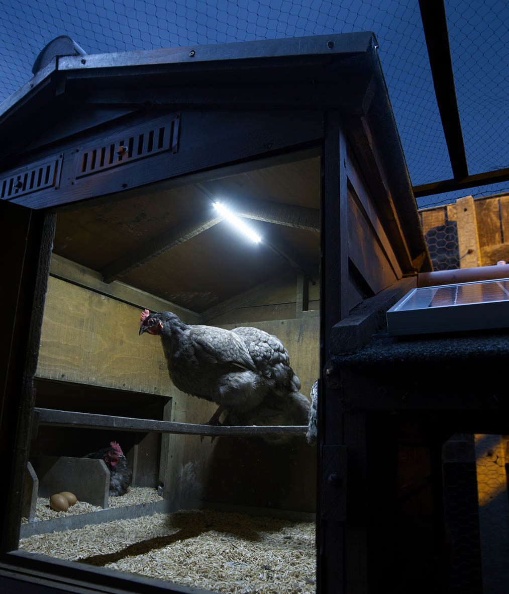 Chicken Coopshed Led Lighting Kit