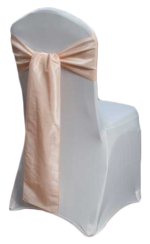 Blush Taffeta Sash Rental Blush Taffeta Sash Rental