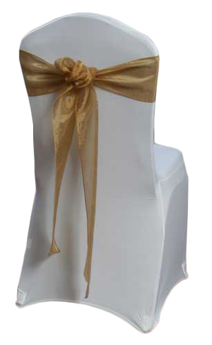 Bronze Mirror Sash Rental Bronze Mirror Sash Rental